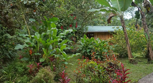 Cottage with garden view Mindo Real