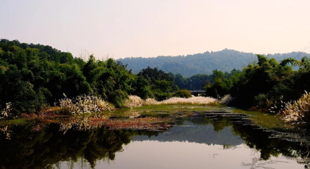 The Tiger Valley Resort, 预订 度假村 Panpatha 印度