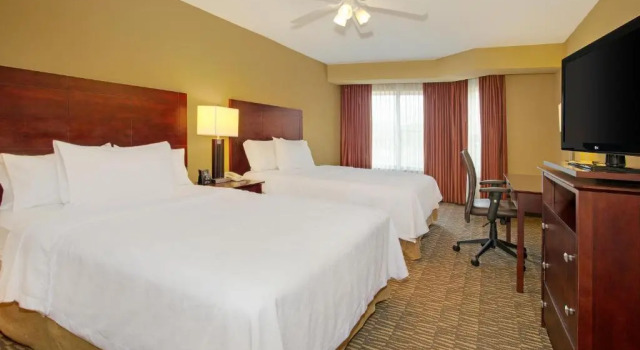 Четырёхместный номер Standard Homewood Suites by Hilton Tampa-Brandon