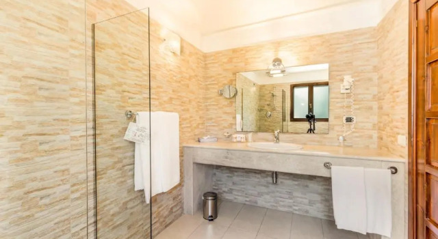 Двухместный номер Standard Hotel Don Diego