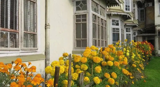 Pineridge Hotel