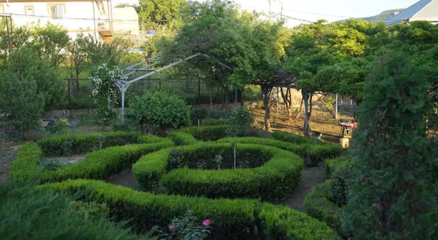 Oasis, Prenota Hotel Tbilisi Tbilisi Region