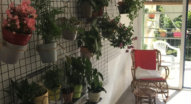 Номер Comfort Casa Mia