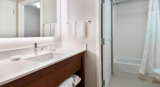 Двухместный люкс c 1 комнатой Residence Inn by Marriott Tampa at USF/Medical Center
