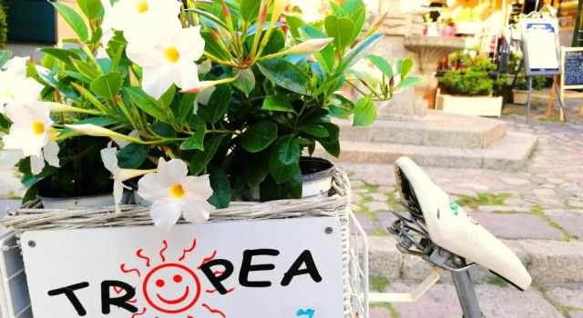 Апартаменты Tropea Travel's House