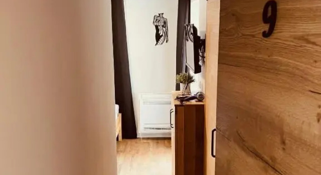 Двухместный номер Standard PJ Hotel Cerklje