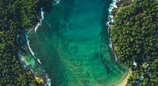Люкс Seacoast Sanctuary Beach Hotel