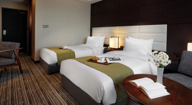 Двухместный номер Deluxe Hotel Stellar