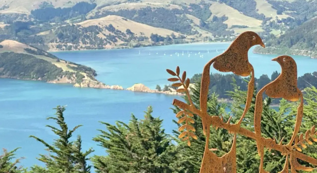 Kūkupa Matairangi at Akaroa Lavender
