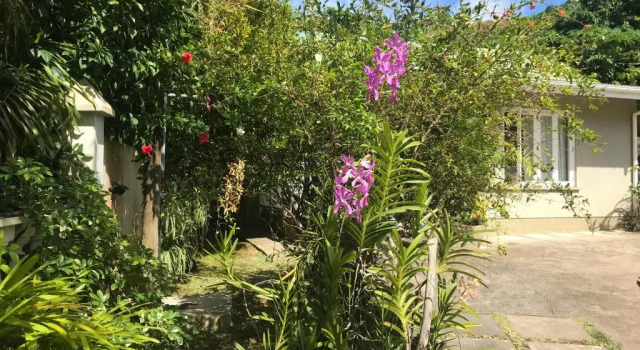 Шале Sunbird Bungalow