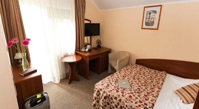 Одноместный номер Standard Hotel pod Wierzba