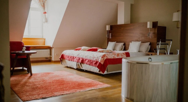 Двухместный номер Standard с видом на парк Pałac Pakoszów Schlosshotel Wernersdorf