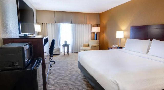 Номер Standard Holiday Inn St. Petersburg N - Clearwater by IHG