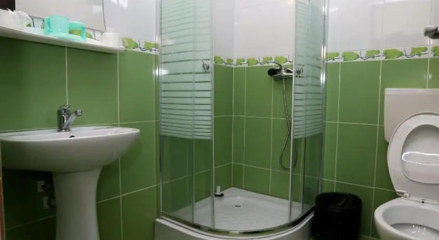 Номер Standard Pensiunea Domneasca