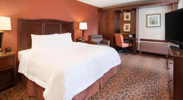 Одноместный номер Standard Hampton Inn Cleveland-Downtown