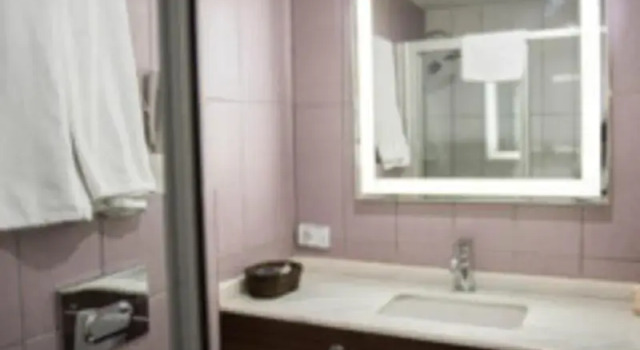 Номер Standard Adana City Boutique Hotel