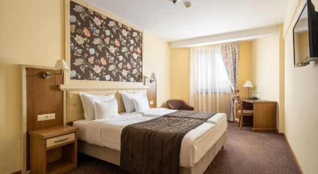 Standardowy dwuosobowy pokój Hotel Leul de Aur