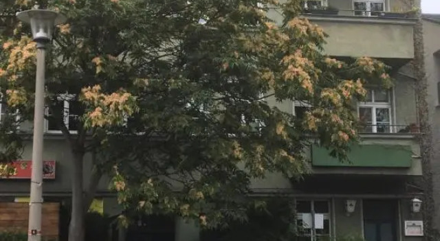 Апартаменты c 1 комнатой Sweet Home Inside Dresden Rooms