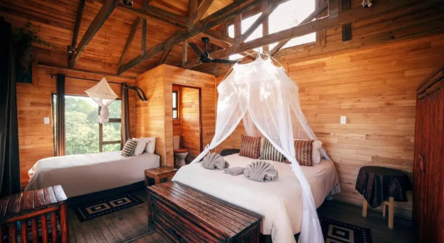 Номер Standard Pezulu Tree House Lodge