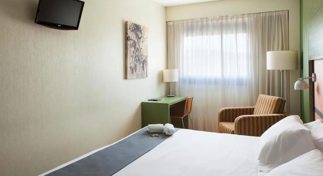 Одноместный номер Standard Hotel Naval Sestao