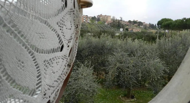 Трёхместный номер с видом на сад Hotel Ristorante Piccolo Chianti