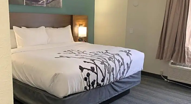 Номер Standard Sleep Inn & Suites California MD