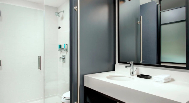 Двухместный номер Standard Aloft by Marriott Dublin-Pleasanton