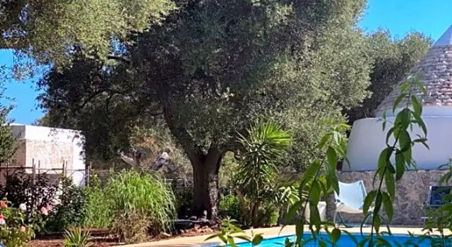 b&b Trullo Due maria