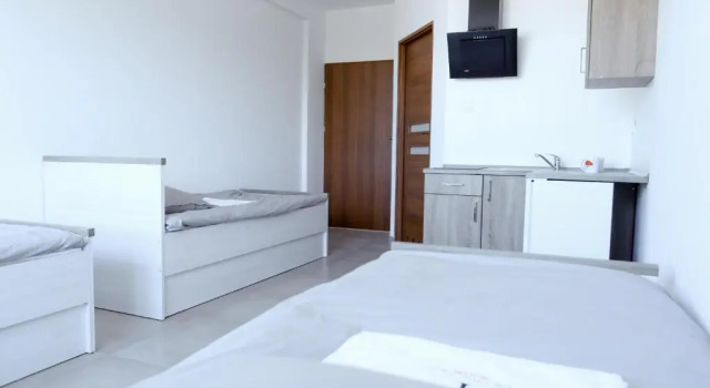 Номер Standard Orange Tree Hotel
