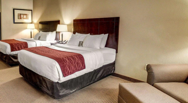 Четырёхместный номер Standard Comfort Inn & Suites Alvarado