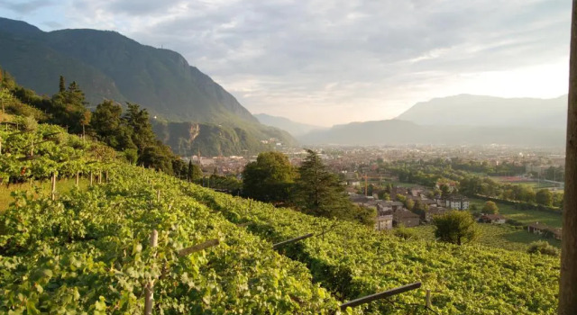 Апартаменты Weingut Messnerhof