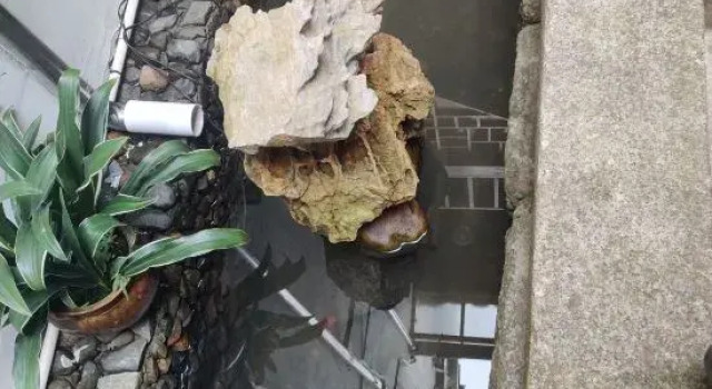 Jing County Ruianju Chinese Inn