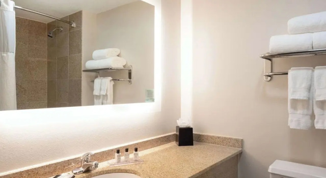 Двухместный номер Deluxe с балконом Wyndham Indianapolis Airport