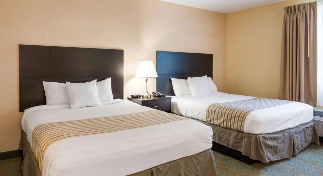Четырёхместный номер Standard Candlewood Suites Stafford Quantico