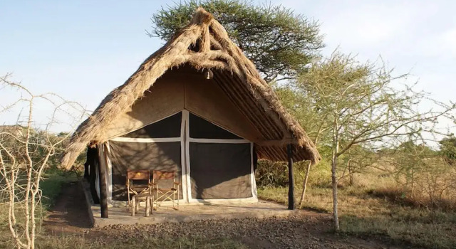 Тент с видом на сад Robanda Safari Camp