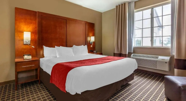 Enkelt suite Comfort Suites Delavan - Lake Geneva Area