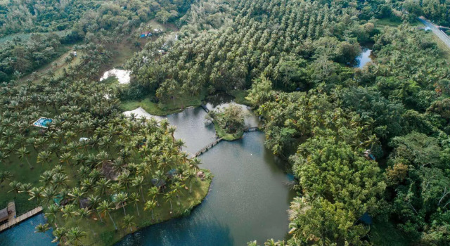 Кровать в общем номере Caliraya Ecoville Recreation and Farm Resort