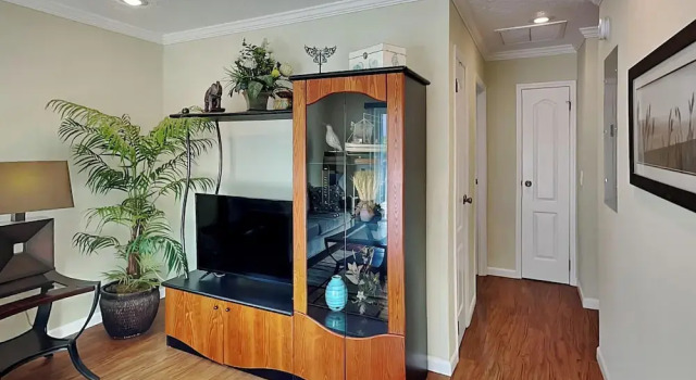Номер Standard Sea Urchin 39