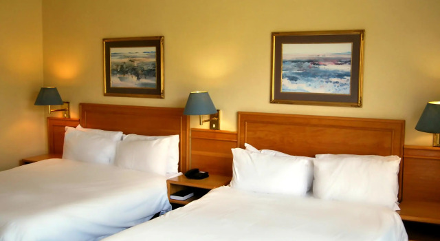 Номер Deluxe Safari Hotel & Convention Centre