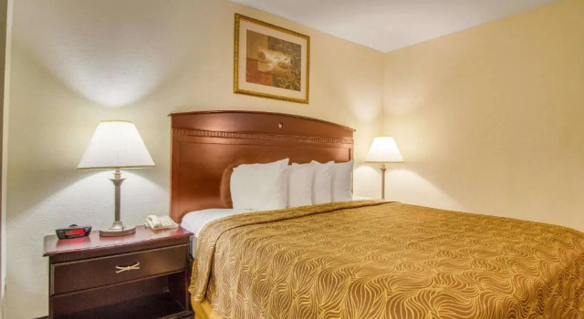 Люкс MainStay Suites Texas Medical Center-Reliant Park