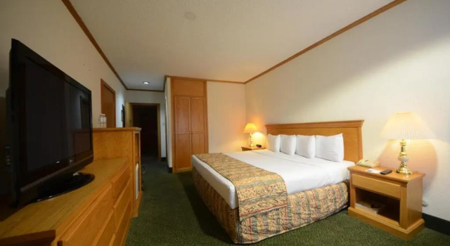 Двухместный номер Deluxe Hotel Sicomoro