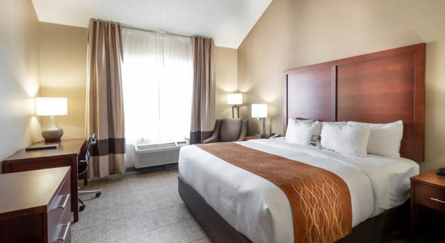 Comfort Inn & Suites Love Field - Dallas Market Center
