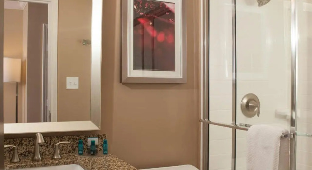Полулюкс Delta Hotels by Marriott Orlando Lake Buena Vista