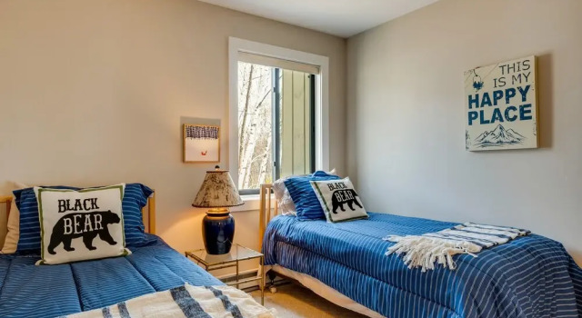 Lincoln Condo Rental w/ Shuttle Near Loon Mountain