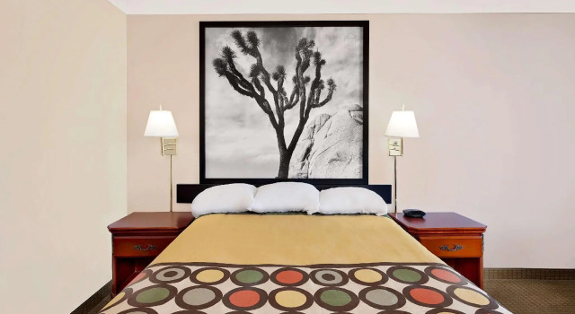 Двухместный номер Standard Super 8 by Wyndham Yucca Val/Joshua Tree Nat Pk Area