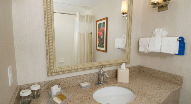 Четырёхместный номер Standard Hilton Garden Inn Troy