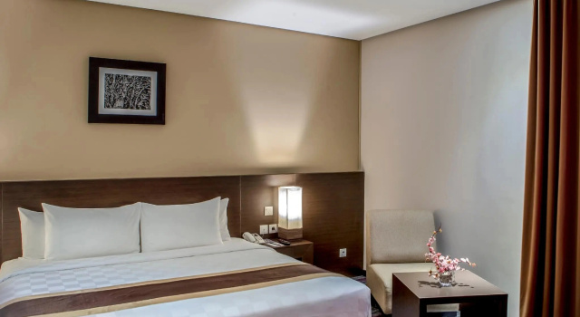 Двухместный полулюкс с видом на город Hotel Horison Samarinda