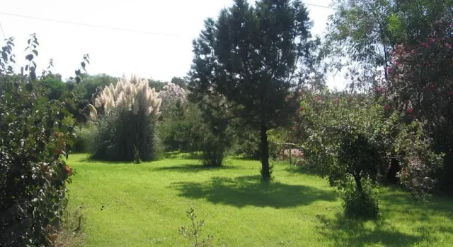 B&B Alvi