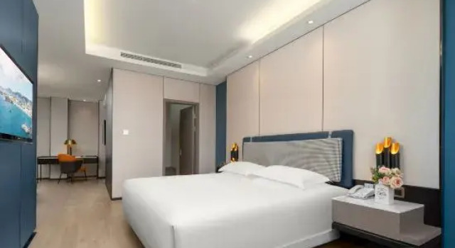 Люкс Ziyang Haoting Hotel