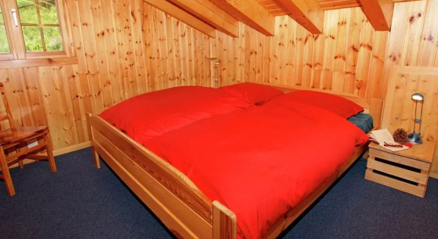 Chalet Alpina